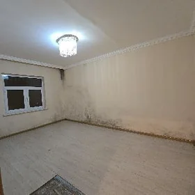 Mir1 1et 1kom 2 edilen gaudan