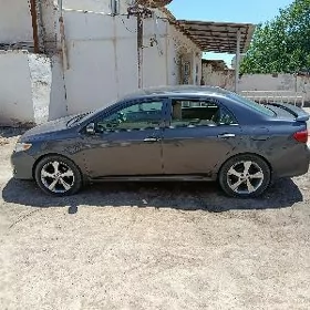 diska 17 admen