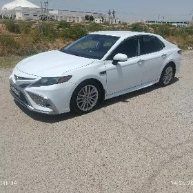 Toyota Camry 2021
