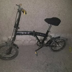 Tigir 16lyk