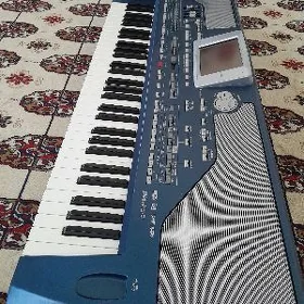 Korg pa800