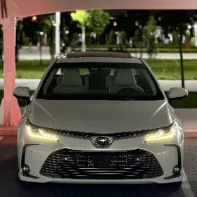 Toyota Corolla 2019