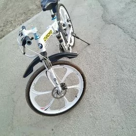 BMW welisopet