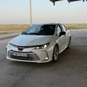 Toyota Corolla 2022