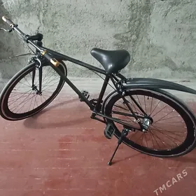 sport tigr