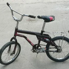  Tigir 16lyk 