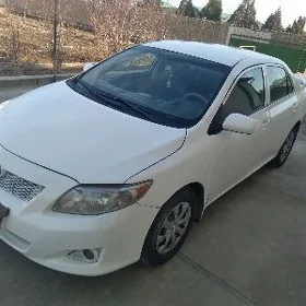 Toyota Corolla 2010