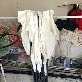 palata