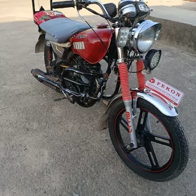 Fekon FK150-8G 2015