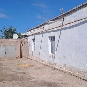 kreýine jaý berilýär