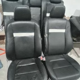 Palta Camry Sidenya