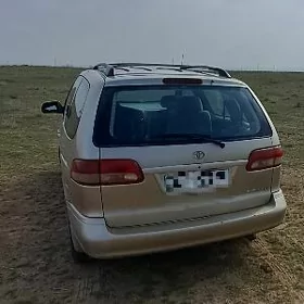 sieena cyra fara
