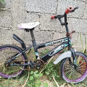 kici tigir