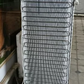 Holodinik