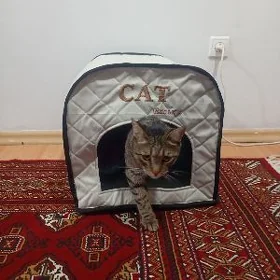 Домик для кошки Домик Öŷjagaz