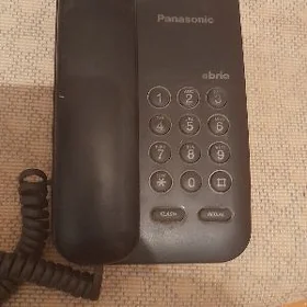 Panasonic