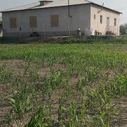 Daṣoguz welaýat Gubadag etrap