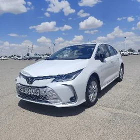 Toyota Corolla 2025