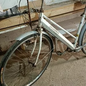 velik 27