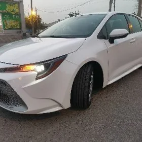 Toyota Corolla 2022