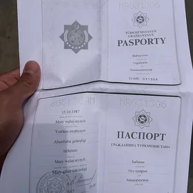 pasport