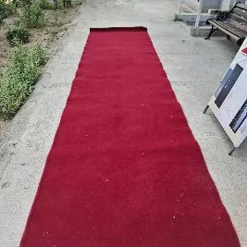 HALY DOROŽKA
