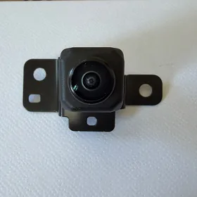 RX350 öňünde durýan kamera