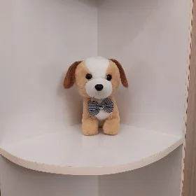 Oýunjak güjük