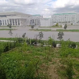 Gurtli Pol Elitka