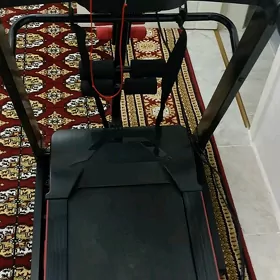 sport enjamlary