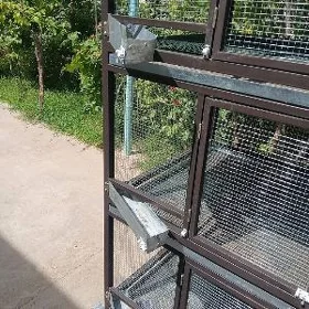 ketek