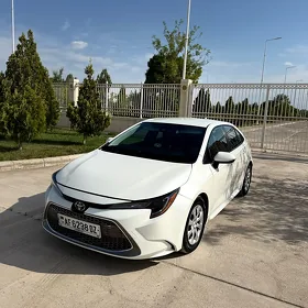 Toyota Corolla 2019
