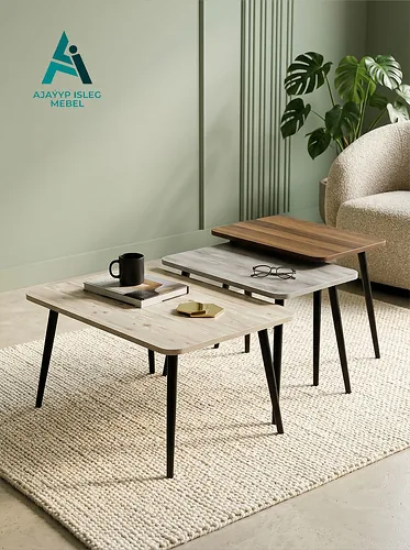 AJAYYP ISLEG MEBEL Gallery 7