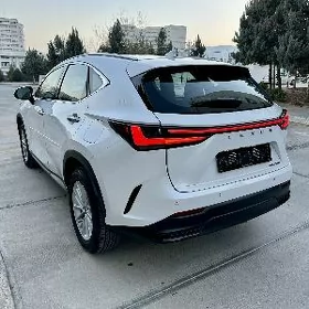 Lexus NX 2025
