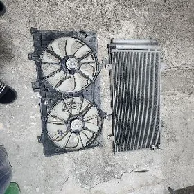 lopus radyator