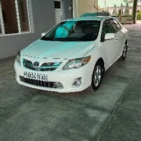 Toyota Corolla 2011