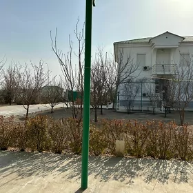 Taze zaman