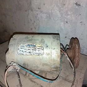 Elektro Dvigatel Leeson