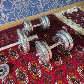 gantel 50kg