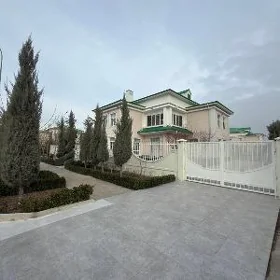 Kotej cyzgy