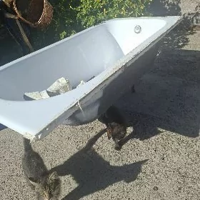 чугунная ванна