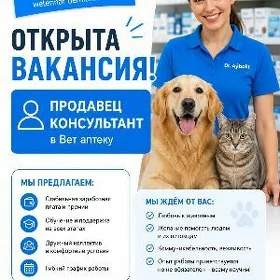 продавец консультант