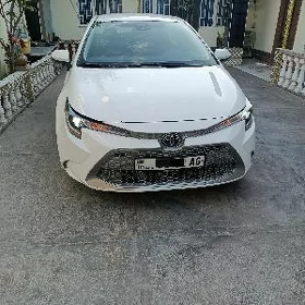 Toyota Corolla 2021