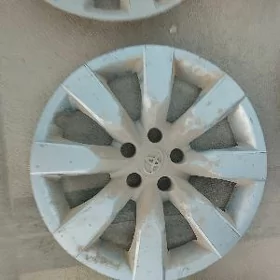 Koloaklar