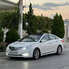 Hyundai Sonata 2010
