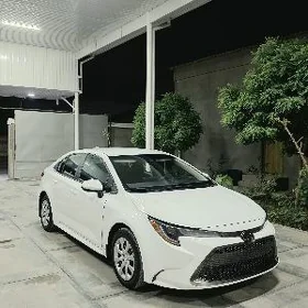 Toyota Corolla 2021