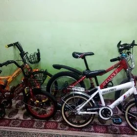Çaga Tigir 16-20lik Amatly