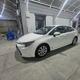 Toyota Corolla 2023