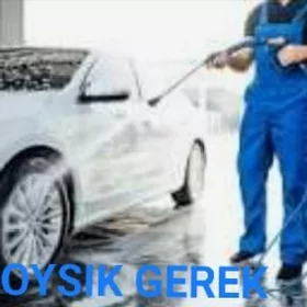 MOYSIK GEREK