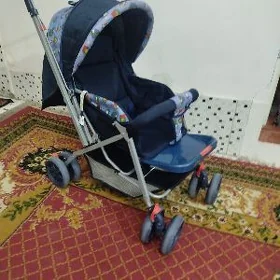 Caga kalyaska